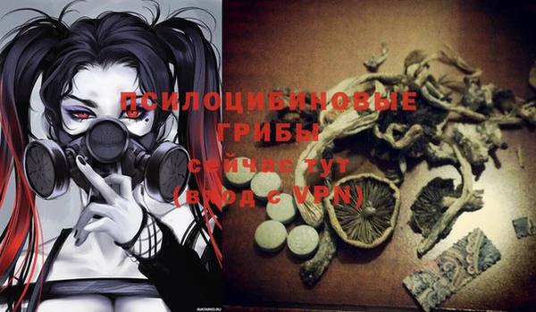 мдма Краснослободск