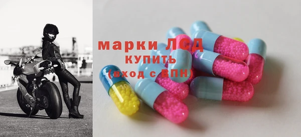 прущие грибы Нижний Тагил