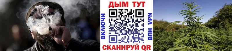 Каннабис ГИДРОПОН  Купить закладки  Демидов 